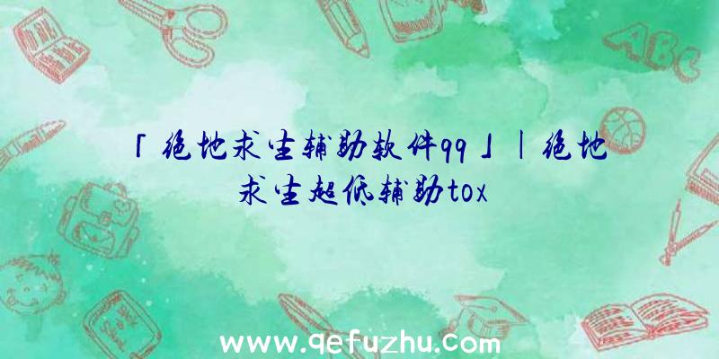 「绝地求生辅助软件qq」|绝地求生超低辅助tox